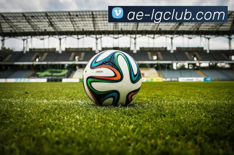 老哥俱乐部官网APP 体育赛事宣传图